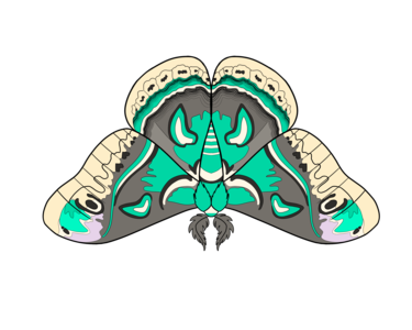 ceceropia-moth-sticker-tealyellow