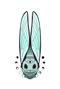 cicada-skull